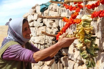 Kahramanmaraş’ta sebzeler kurutulup kışa hazırlanıyor
