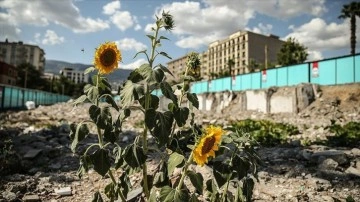 Kahramanmaraş'taki konteyner çarşı, kuruyemişçinin enkazındaki ürünlerle yeşerdi