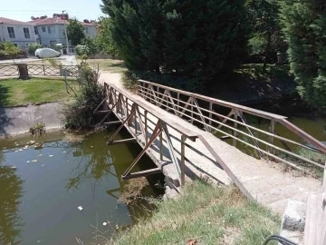 Kanlıkavak Park’ındaki eski köprü vatandaşları endişelendiriyor
