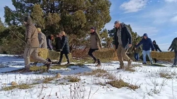 Kar altındaki Spil’de yaban hayatı unutulmadı
