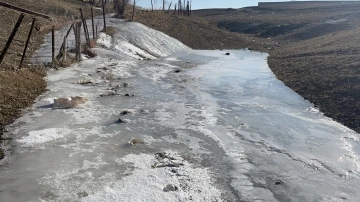 Kar yağmayan kentte don etkili oluyor
