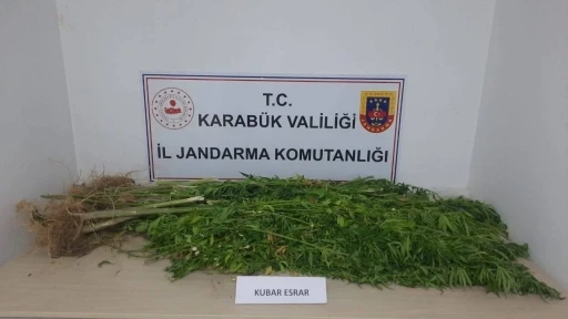 Karabük’te 11 kilo 800 gram kubar esrar ele geçirildi
