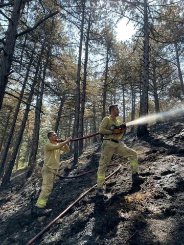 Karabük’te orman yangınında 7 hektar alan zarar gördü

