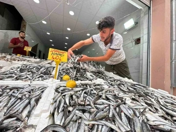 Karadeniz’de hamsi bolluğu: Kilosu 40 TL
