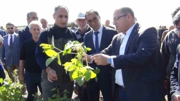 Kars’ta ilkkez ekilen soya fasulyesi hasadı yapıldı
