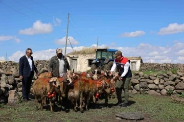 Kars’ta koç katımı yapıldı
