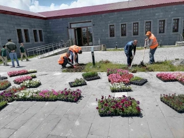 Kars’ta park ve bahçeler çiçek açıyor
