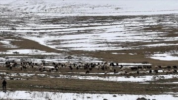 Kars ve Ardahan'da kar etkili oldu