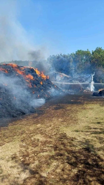 Kastamonu’da 6 bin balya saman, iki samanlık ve bir patoz küle döndü
