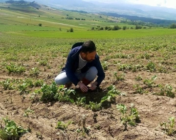 Kastamonu’da selin vurduğu alanlarda hasar tespit çalışmaları devam ediyor
