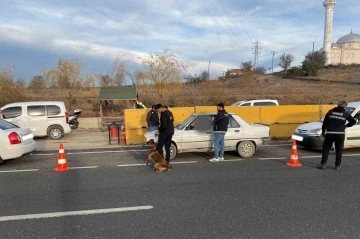 Kastamonu’da uyuşturucu arama köpeği &quot;CEKU&quot; ile denetimler devam ediyor
