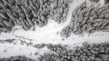 Kastamonu'da beyaz örtüyle kaplanan ormanlar dron ile görüntülendi