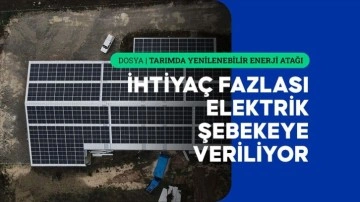 Sarımsak fabrikasının enerjisi güneşten karşılanıyor