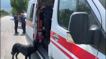 Kavgada bacağından vuruldu; köpeği ambulansın yanından ayrılmadı