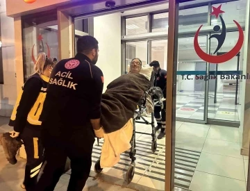 Kaybolduğu ormanda 14 gün boyunca mağaraya sığınıp, ot yiyerek hayatta kaldı
