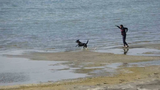 Kayıp öğrenci Rojin için AFAD’dan köpekli arama
