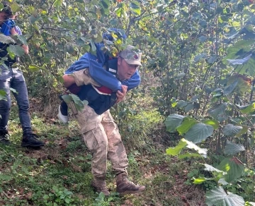 Kayıp yaşlı kadın sağ bulundu: Jandarma kadını sırtında taşıdı
