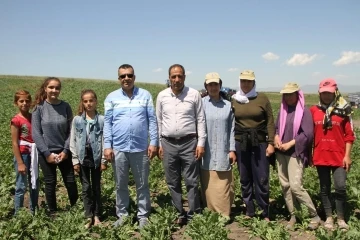 Kaymakam Bayram, tarlada çalışan çiftçilerle bayramlaştı
