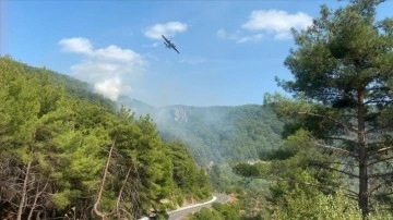 Kazdağları'nda orman yangını çıktı