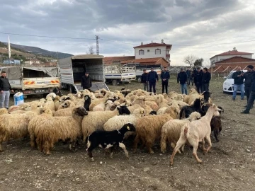 Keçileri yanan çiftçiye destek gecikmedi
