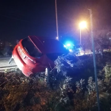 Kediye çarpmamak için manevra yaptı