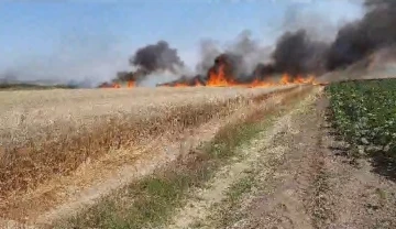 Keşan’da 80 dönüm buğday tarlası kül oldu
