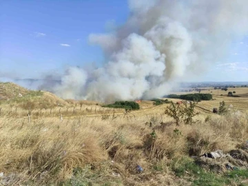 Keşan’da tarla yangınında 2 bin dönüme yakın arazi küle döndü
