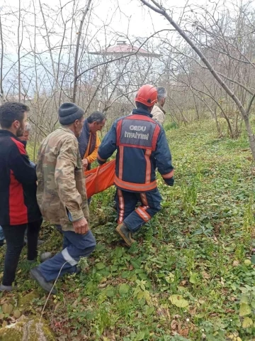 Kestikleri ağacın altında kaldılar
