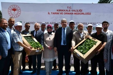 Kırıkkale’de çiftçilere 20 bin fide dağıtıldı
