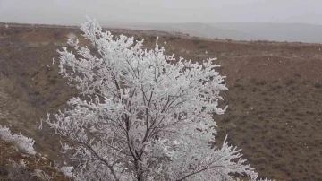 Mevsimin ilk karı yağdı