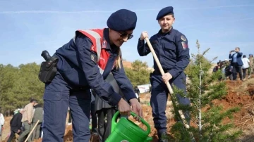 Kırıkkale’de &quot;100. Yıl Cumhuriyet Ormanı&quot; oluşturuldu
