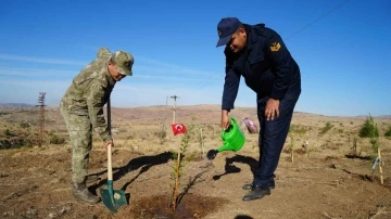 Kırıkkale’de &quot;Türkiye Yüzyılı Mehmetçik Hatıra Ormanı&quot; oluşturuldu
