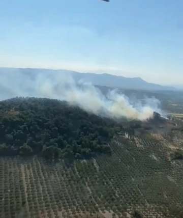 Kırkağaç’taki orman yangınına müdahale devam ediyor
