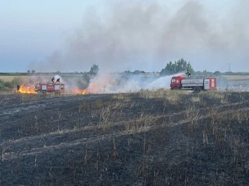 Kırklareli’nde yangın: 20 dönüm buğday küle döndü
