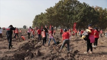 Kırklareli'nde "Cumhuriyetin 100. Yılı Hatıra Ormanı" oluşturuldu