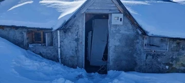 Kış uykusuna yatmayan ayı yayla evlerine dadandı
