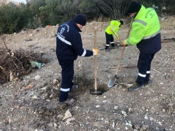 Kocaeli Büyükşehir bir yılda 124 bin 779 fidanı toprakla buluşturdu
