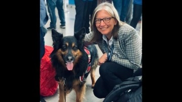 Kolombiya'dan Türkiye'ye gelen arama kurtarma köpeği Aaron hayatını kaybetti