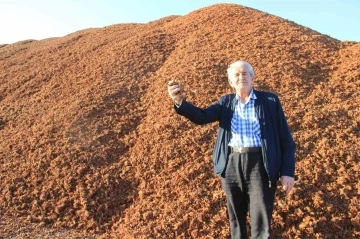 Kömür fiyatları arttı, çam fıstığı kabukları kıymete bindi
