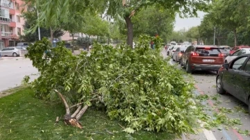 Konya’da fırtına nedeniyle camekan uçtu, ağaçlar devrildi
