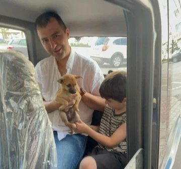 Konya’da otomobilin motor kısmına giren yavru köpeği itfaiye kurtardı
