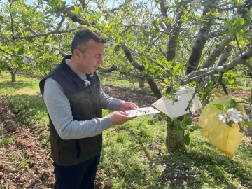 Konya’da zararlılar kameralı tuzak sistemi ile takip edilecek
