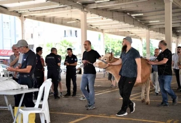 Konyaaltı Belediyesi vatandaşlara ücretsiz kurban kesimi hizmeti verdi
