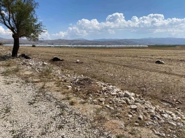 Korkuteli’nde su baskını sebebiyle onlarca hayvan telef oldu
