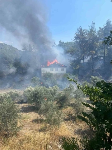 Köyceğiz’deki yangın kontrol altına alındı
