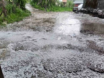 Koyulhisar’da sağanak ve dolu etkili oldu
