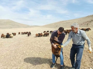 “Köyümde Yaşamak İçin Bir Sürü Nedenim Var”  projesi yeniden başladı
