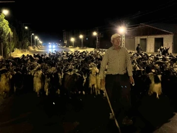 Koyun sürüsünün ilçe merkezinden geçişi sırasında renkli görüntüler ortaya çıktı
