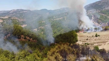 Kozan’da yanan ormanlık alan havadan görüntülendi
