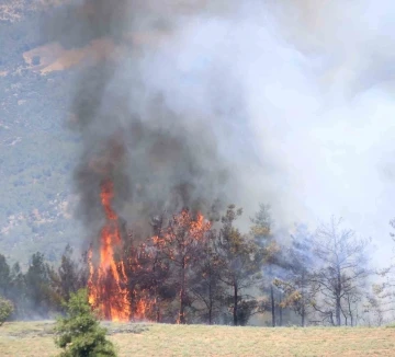 Kozan’daki orman yangınında alevler tekrar yükseliyor
